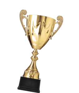 Golden trophy 2021 08 26 15 27 45 utc2.png