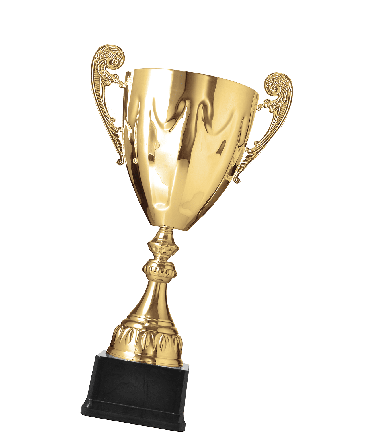 Golden trophy 2021 08 26 15 27 45 utc2.png